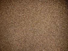 25kg Skretting Micro 2.3mm