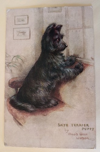 Dog artist postcard skye - dog, postcard,