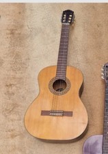 Vintage Woolworth Acoustic