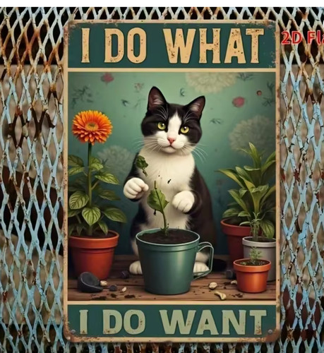 Garden planting cat what - cat, i