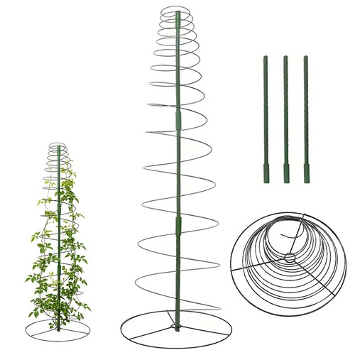 Spiral plant support stakes - plant,
