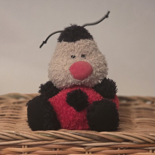 Jellycat pudding ladybird new - jellycat,
