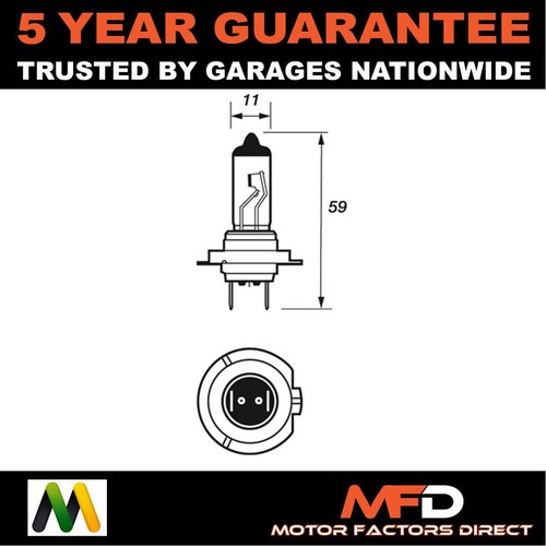 Bulbs manual front - manual,