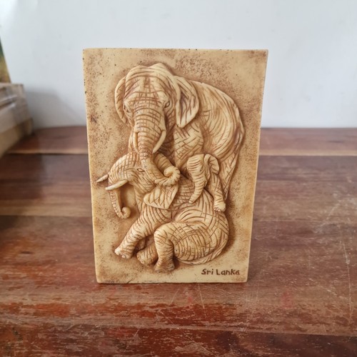 Sri lankan elephant family - sri,