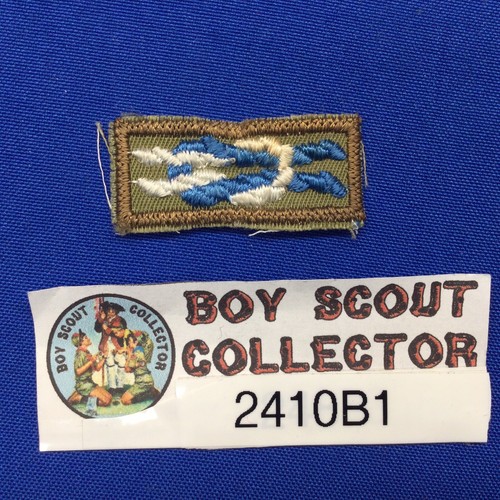 Boy scout silver - boy,