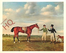 Picture Postcard, Benjamin Marshall, Zinganeeheld By Sam Chifney Junior