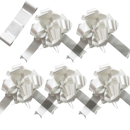 Tts silver wedding - silver, car