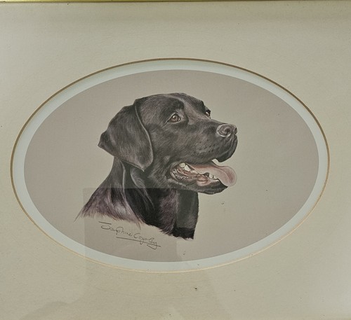 Labrador print signed - print,