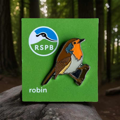 Rspb pin badge - pin, robin