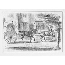 Victorian Horse & Buggy - Antique Print 1884