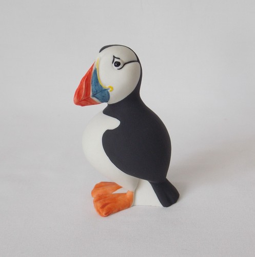 Isle arran puffin - of,