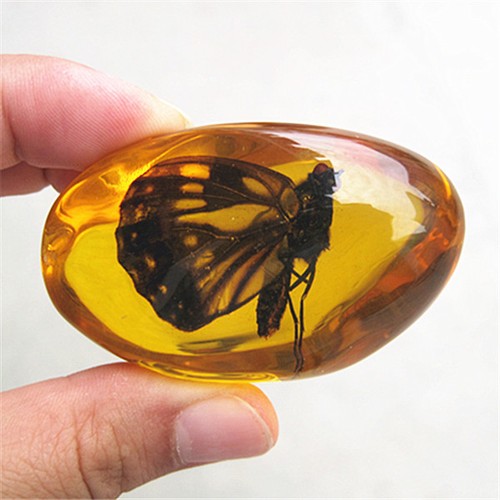 Beautiful amber butterfly - amber,