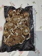 Indian Traditional Paranda