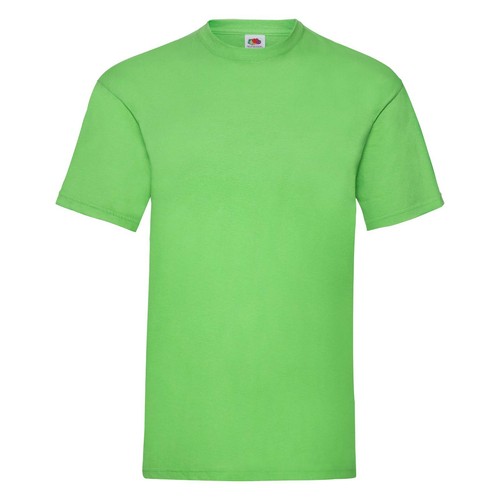 Fruit the loom valueweight - of,