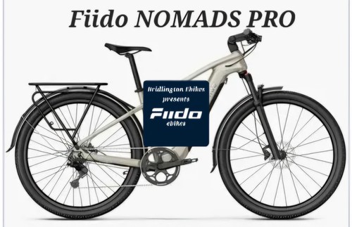 Not dropship fiido - we,