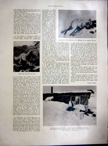 Original old vintage print - old,