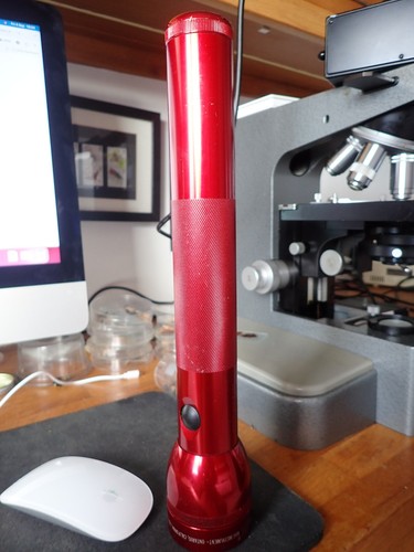 Maglite cell flashlight - 3d,
