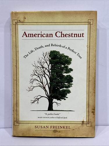 American chestnut the life - chestnut,