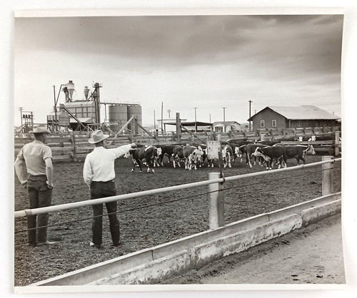 1957 bakersfield lewis feed - lewis,