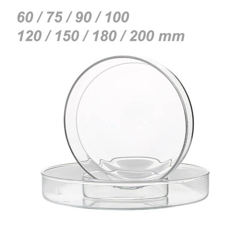 Glass petri dish - petri,