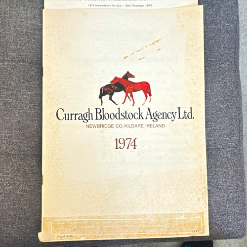 Curragh bloodstock agency ltd - bloodstock,