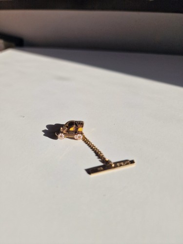 Vintage style carriage tie pin - carriage,