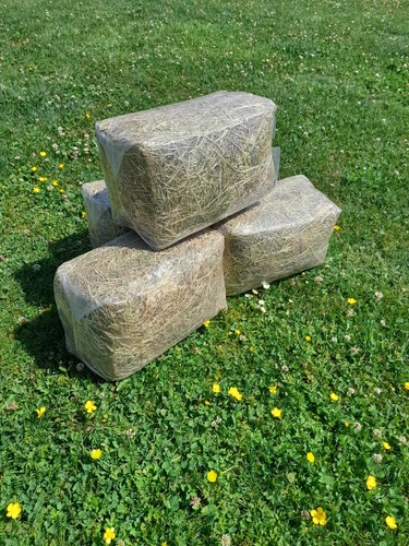 Meadow hay high quality - #,