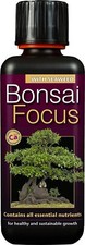 Growth technology bonsai focus - technology,