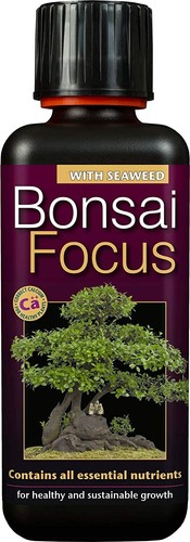 Growth technology bonsai focus - growth,