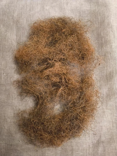 Ginger coir 5kg bag or - f/r, box