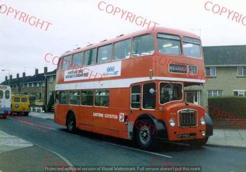 Bus photo eastern counties - -,