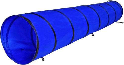 Dog tunnel - dog,