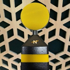 Neat Worker Bee Cardioid LDC Condenser XLR Studio Microphone Working With Demo