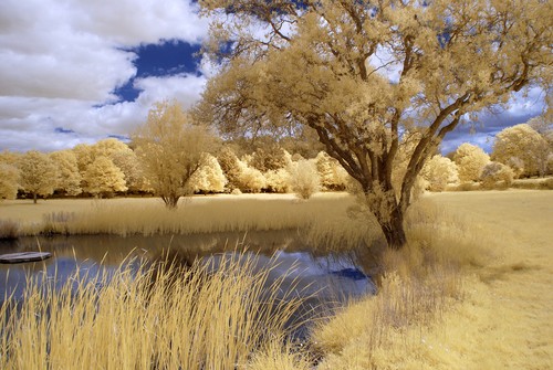 Nikon d200 infrared - d200, converted