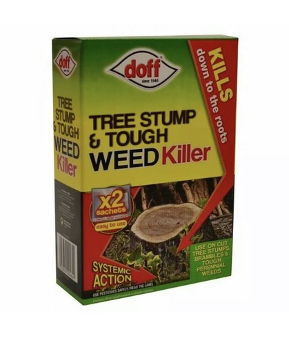 Tree stump brambles tough - tree, &