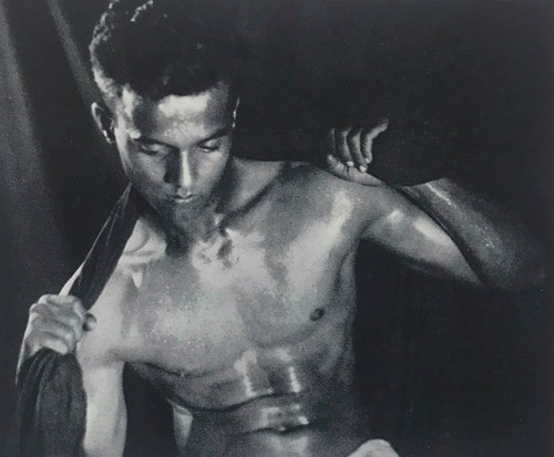 Beautiful male nude study - ,