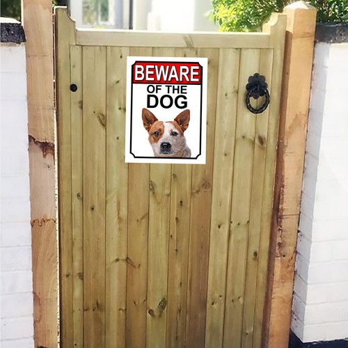 Beware the dog australian - of,