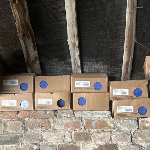 Boxes agapanthus - boxes,