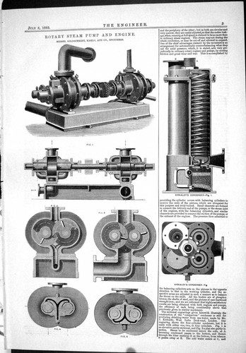 Antique old print 1883 - old,