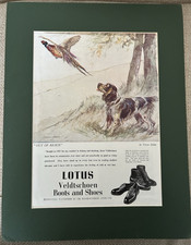 1948 Vernon Stokes | English Setters | Partridge Lotus Boots Advert | Mounted
