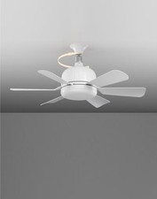 18 Inch Ceiling Fan with Light LED Flower Lamp Bulb 3CCT 40W Dimmable Light Fan