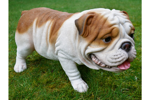 Large british bulldog - large,