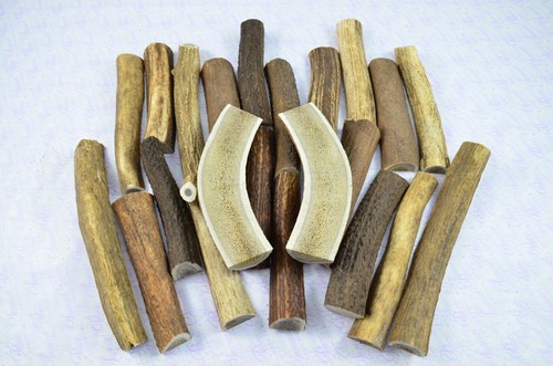 Split deer antler - chews, for