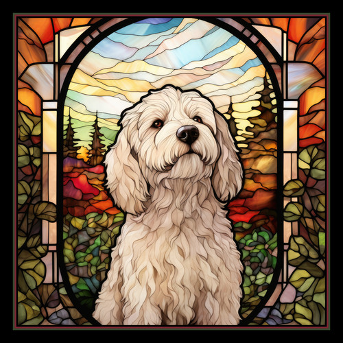 White labradoodle dog - dog, large