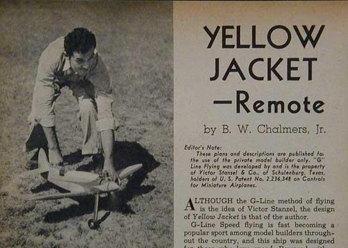 Yellow jacket wingspan - jacket, 22”