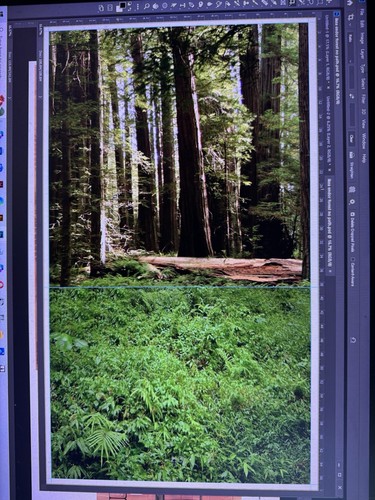 Star wars endor - star,