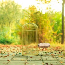 2 Pcs Pine Wood Birds Stand