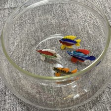 Venetian Glass Bowl With Hand Blown Coloured Fish  6x3” Approx Very Beautiful