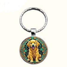 Labrador golden blonde puppy