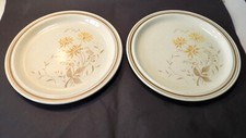 Two Royal Doulton Lambethware